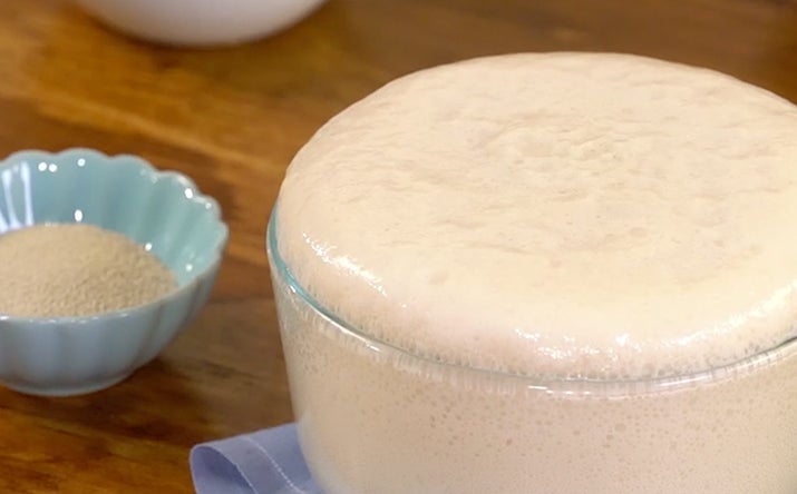 Cómo fermentar levadura Cómo fermentar levadura