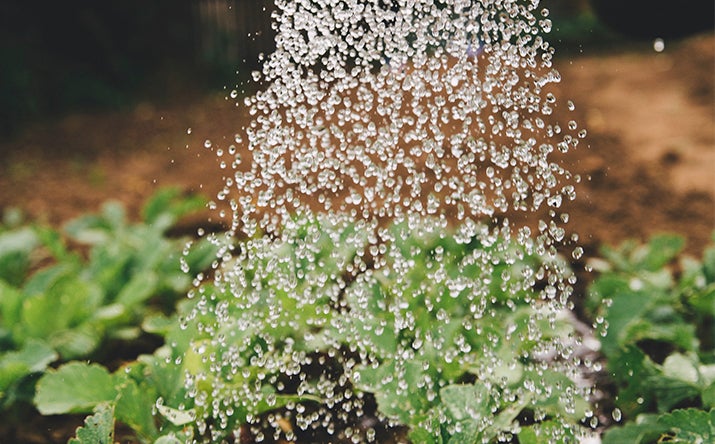 Formas de cuidad y ahorrar el agua Formas de cuidad y ahorrar el agua