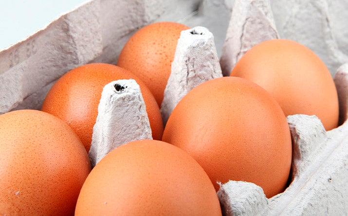 Huevos en cubeta/empaque de cartón Huevos en cubeta/empaque de cartón