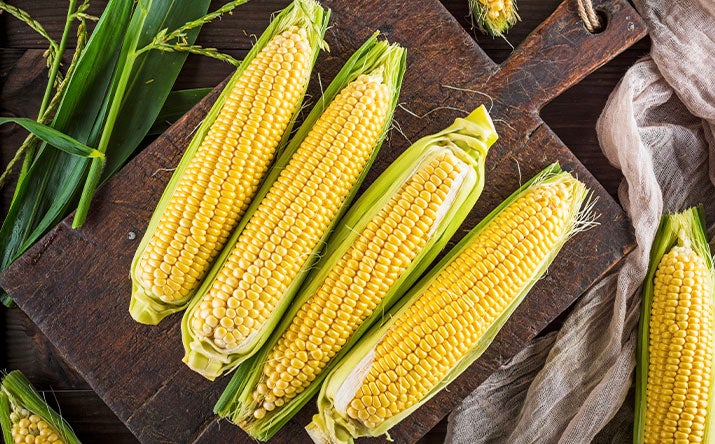 El elote es usado en varias comidas caseras latinoamericanas Elote, un ingrediente de la comida casera de la región, sobre una tabla de madera