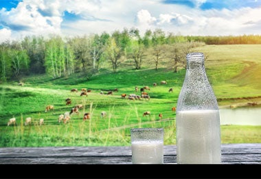 Botella y vaso de leche fría sobre la mesa de madera. Botella y vaso de leche fría sobre la mesa de madera. Productos lácteos frescos. Fondo natural.