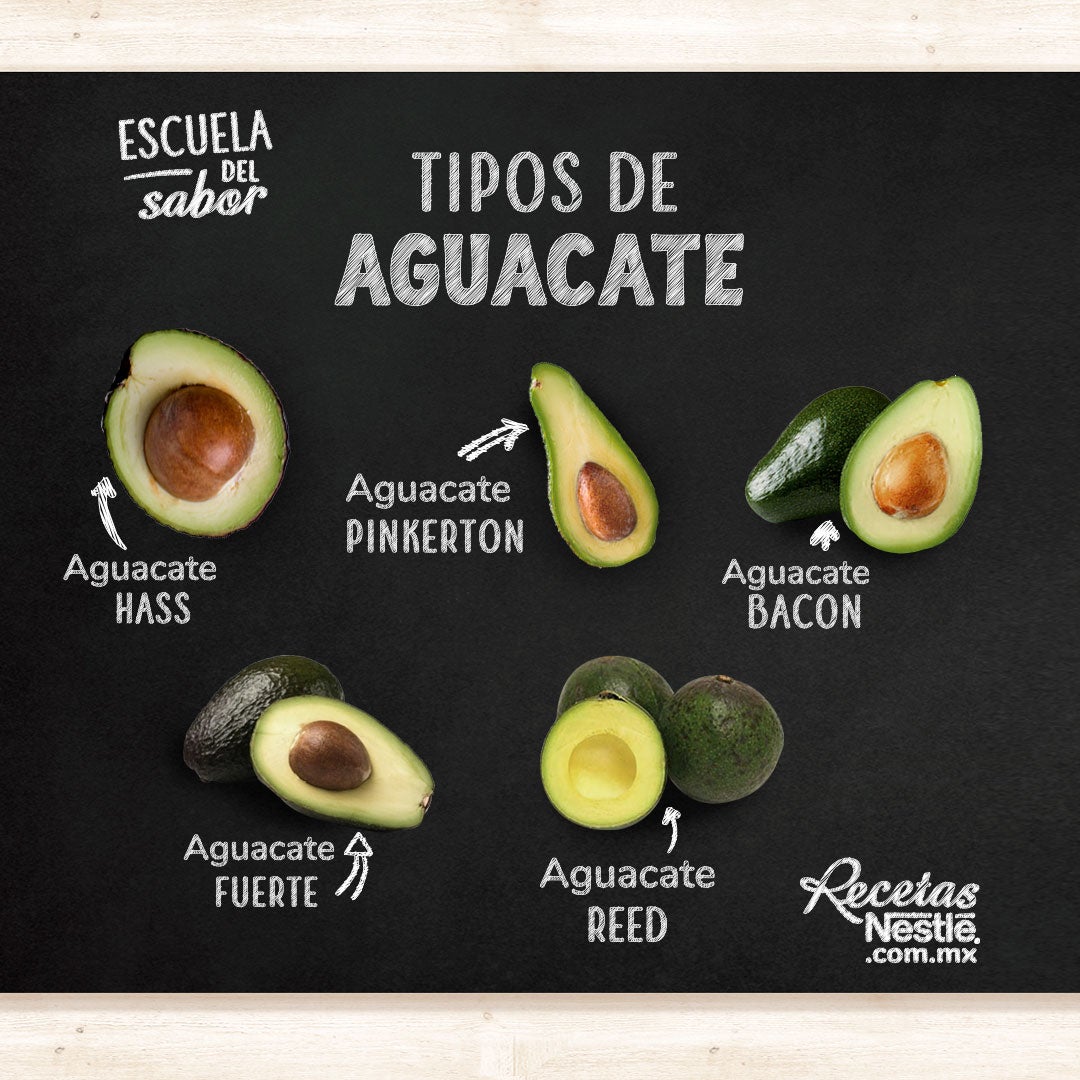 tipos de aguacate