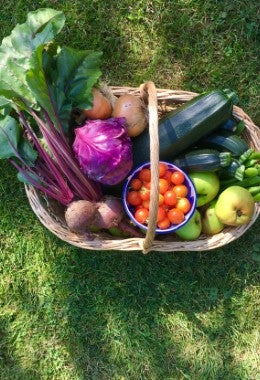 Canasta de vegetales frescos con ruibarbo, tomates y otros ingredientes del huerto