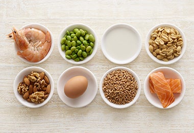 Ingredientes con proteínas, legumbres clasificación alimentos 