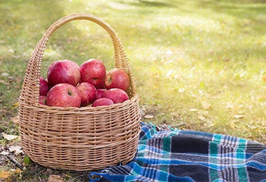 Desayuno sorpresa en picnic 