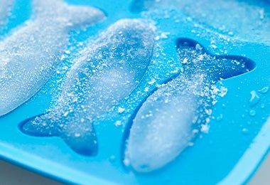 Bandeja de hielo de silicón en forma de peces.
