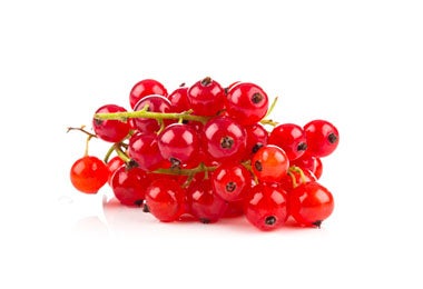 Grosellas, variedad de frutos rojos  