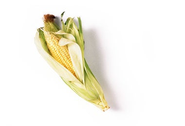 Mazorca de maíz en hoja, de longitud completa. 