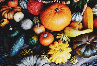 Calabaza de castilla, calabazas y otros tipos de cucurbitas