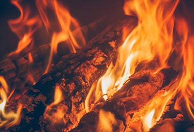 Variedad de leña ardiendo para cocinar