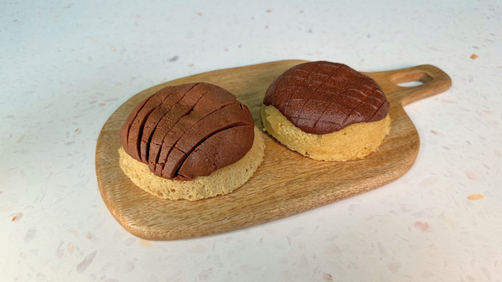 Concha Fit Concha Fit