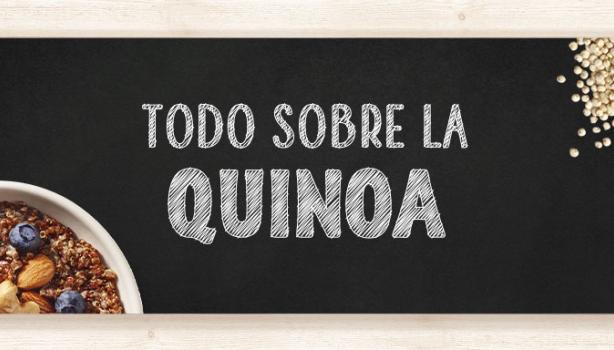 Todo lo que debes saber sobre la quinoa. 