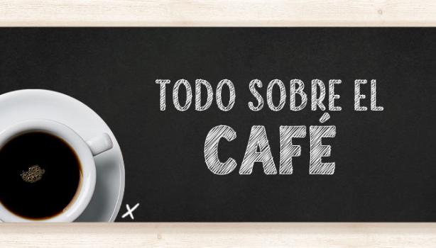 Todo lo que necesitas saber sobre el café.