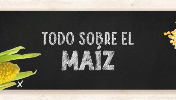 Todo lo que tienes que saber sobre el maíz