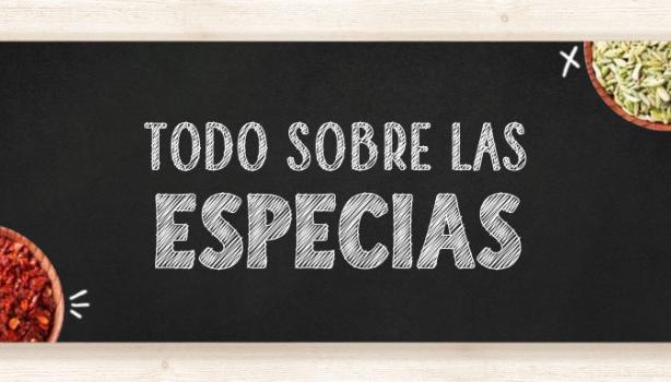 Conoce los tipos de especias