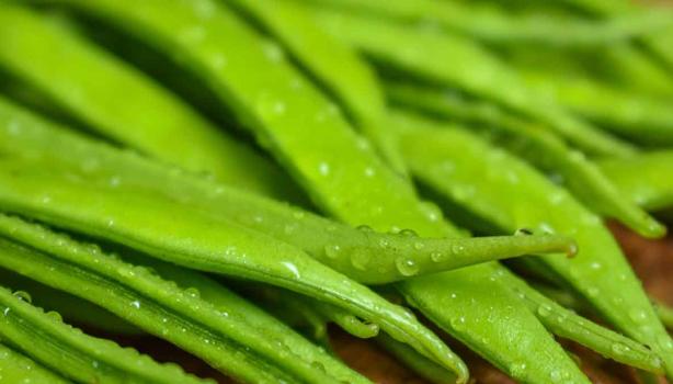 Ejotes verdes frescos  