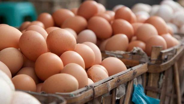 Huevos en un mercado local, sustitutos de huevo.  