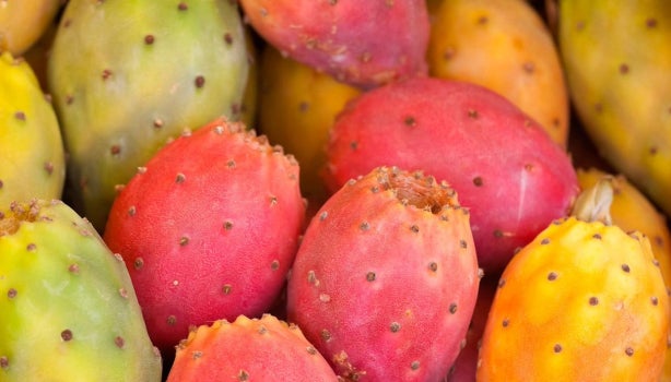 Xoxonostle para que sirve este alimento.