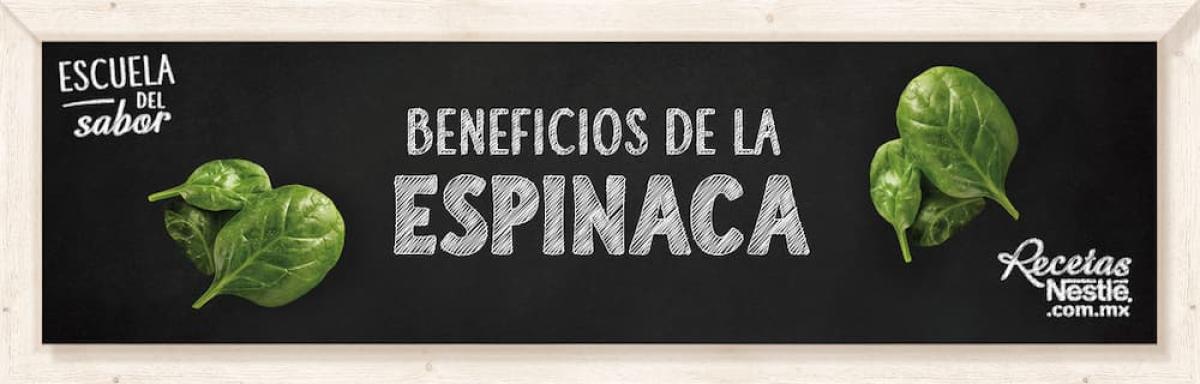 Beneficios de la espinaca