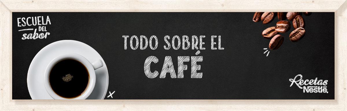 Todo lo que necesitas saber sobre el café.