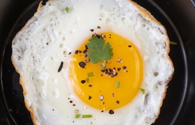 alimento