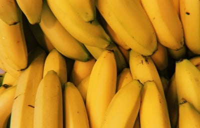 alimento