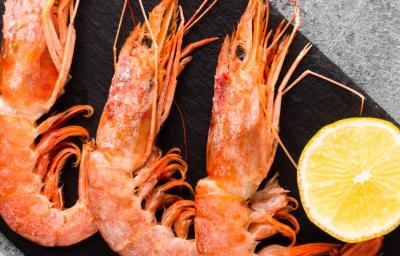 alimento