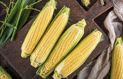 Ccomidas caseras de América Latina