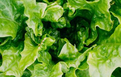 verduras
