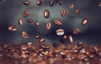 Todo lo que necesitas saber sobre el café. Todo lo que necesitas saber sobre el café.