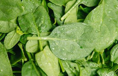 Elige alimentos ricos en ácido fólico.