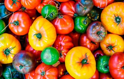 Variedad de jitomates de diferentes colores