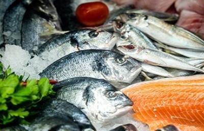 Pescado para la cuaresma Pescado para la cuaresma