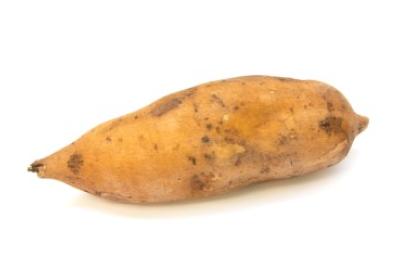 Camote, la papa dulce. Un camote sin pelar en fondo blanco.