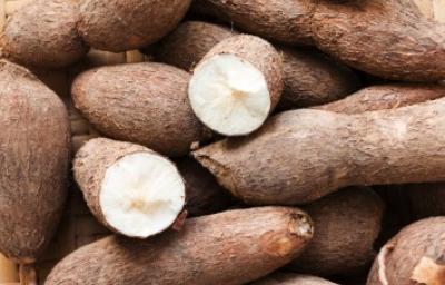 camote, un tubérculo impopular, pero delicioso. Montón de camotes apilados con dos de ellos cortados a la mitad.