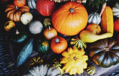 Variedad de tipos de calabaza para cocinar y decorar Variedad de tipos de calabacita y calabazas en diferentes tamaños y colores