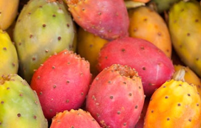 Caja de nopales.