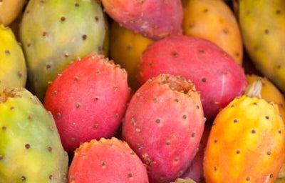 Xoxonostle para que sirve este alimento.