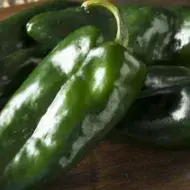 alimento
