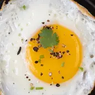 alimento
