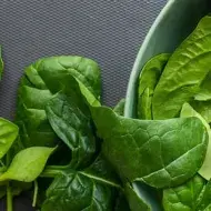 alimento