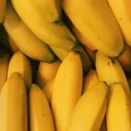 alimento