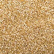 Cómo cocer quinoa