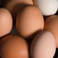Huevos