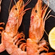 alimento