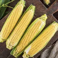 Ccomidas caseras de América Latina