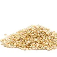 Todo lo que debes saber sobre la quinoa. 