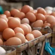 Utilizar yema de los huevos 