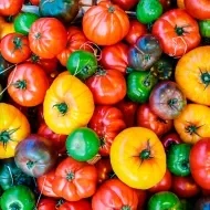 Variedad de jitomates de diferentes colores