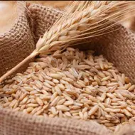 Lo que debes saber de la sémola de trigo